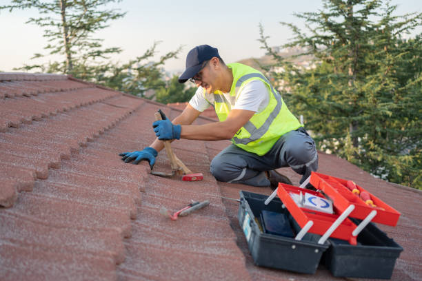 Best Roof Gutter Cleaning  in Fairview, OR