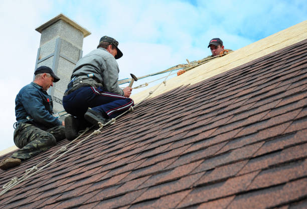 Best Roof Gutter Cleaning  in Fairview, OR